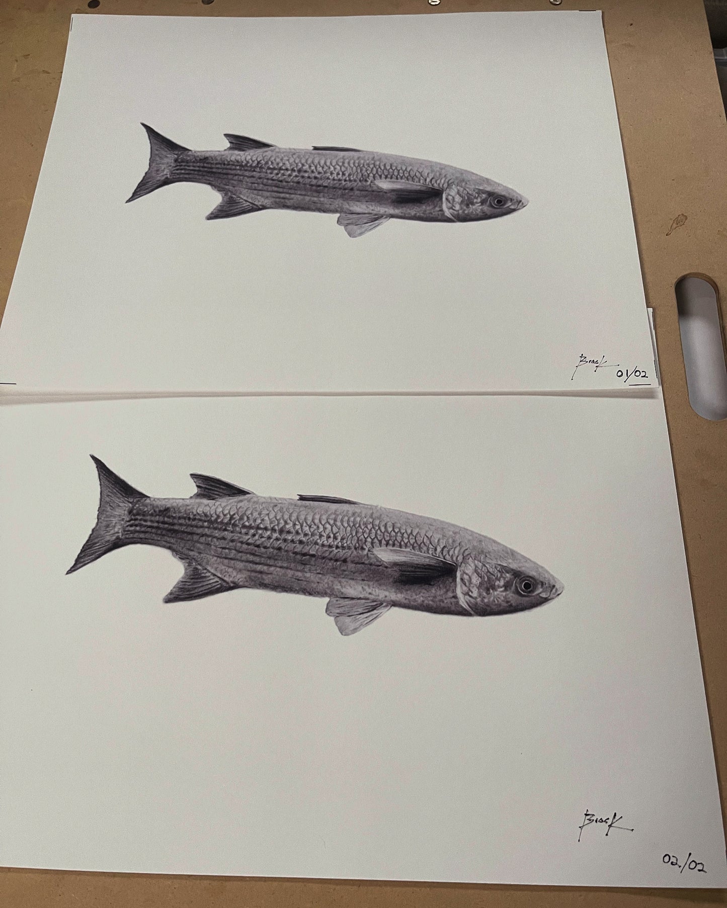 “Mullet” Limited Edition Print