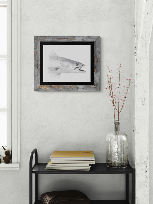 “Trout” Limited Edition Print