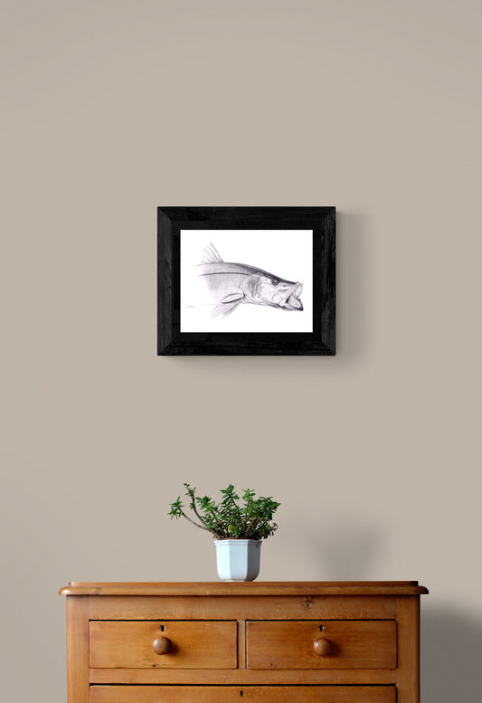 “Snook” Limited Edition Print